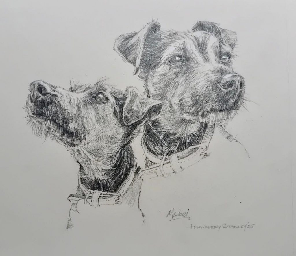 Mabel 9” x 10”. Pencil Work