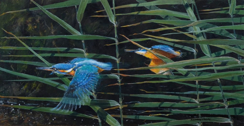 Kingfisher Pair and Reeds 8” x 16”. Acrylic on Board